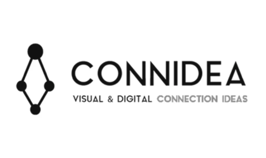 Gestione campagne ADV e strategia digitale per Connidea